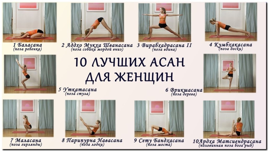 асаны йоги для начинающих в картинках
